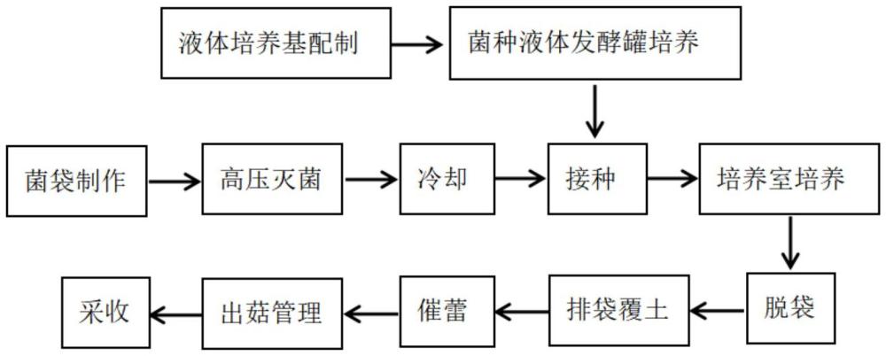 一种覆土栽培沙棘蘑菇的种植方法与流程