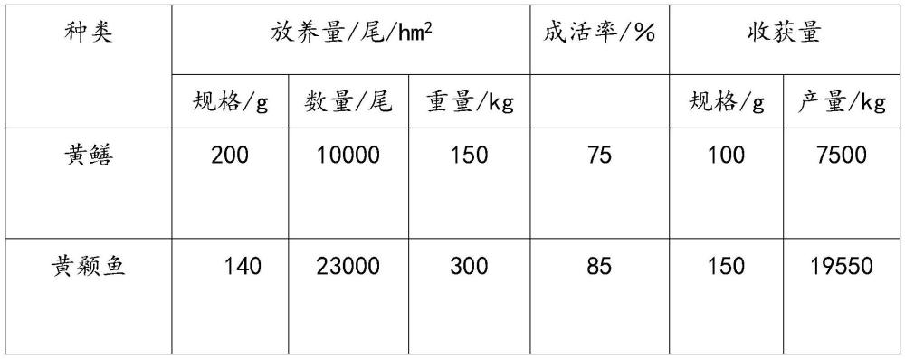 一种池塘网箱养鳝立体套养黄颡鱼方法