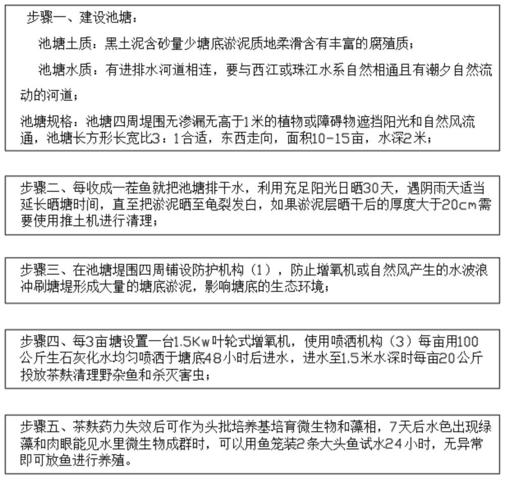 一种大头鱼天然微生物养殖的方法与流程