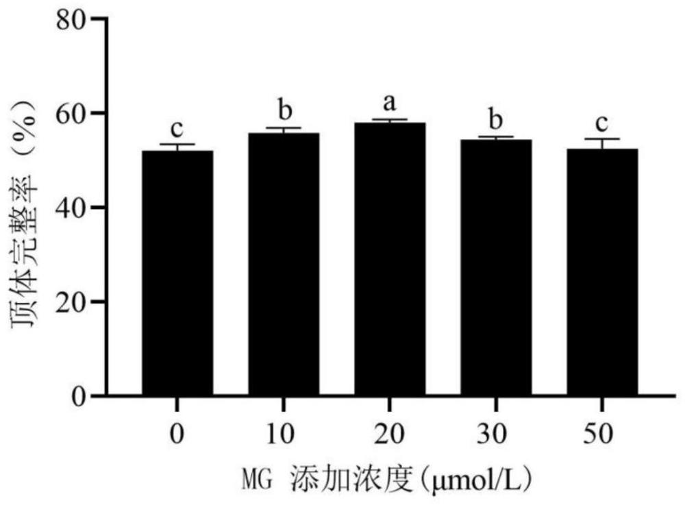 一种猪精液冷冻保存液及提高猪精液冷冻保存品质的方法