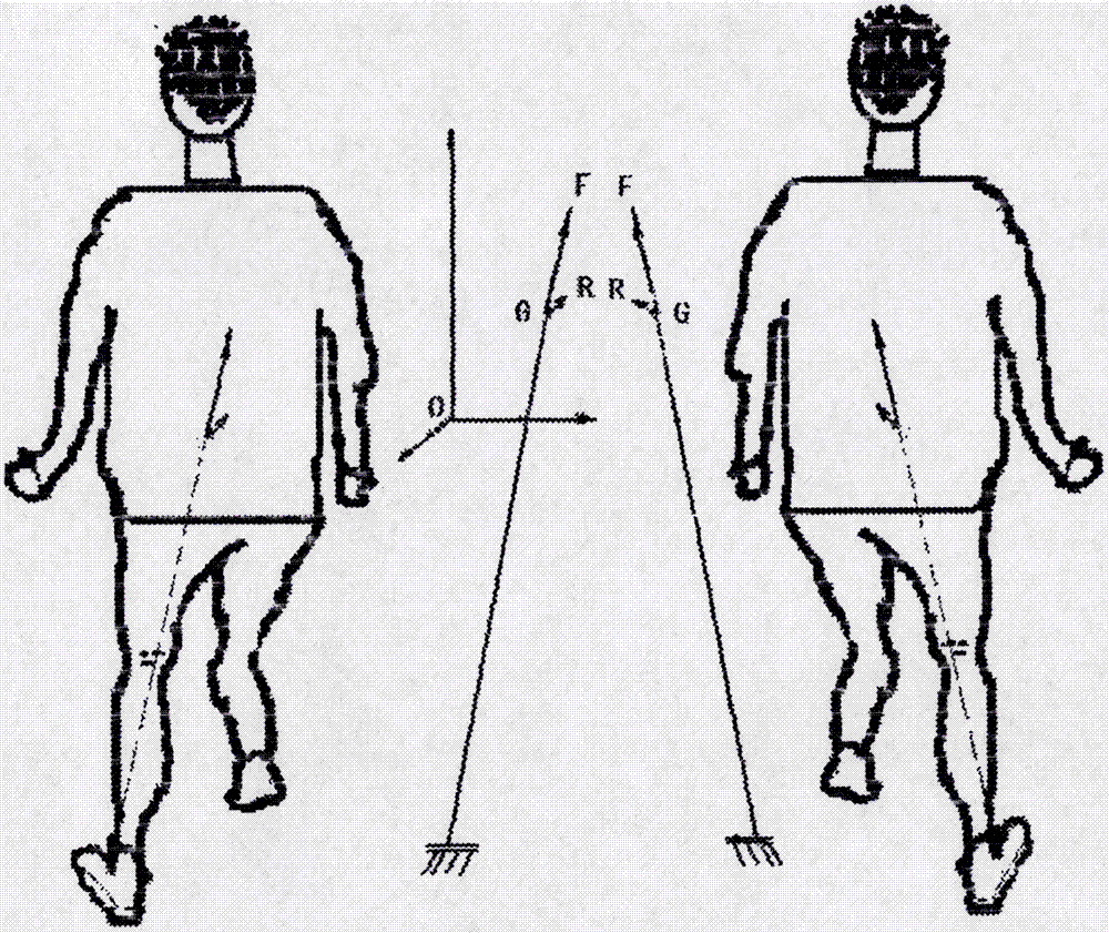 准正余弦波向走鞋的制造方法与工艺