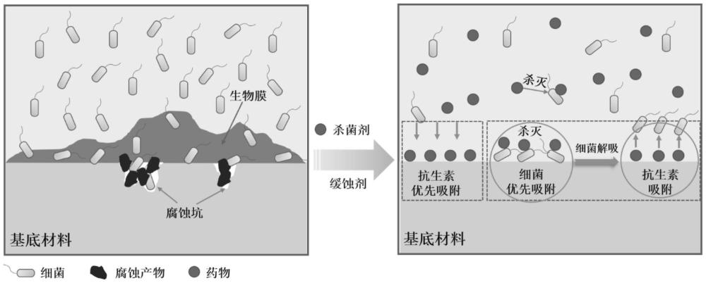 一种废弃抗生素药物作为缓蚀杀菌剂在油气田环境中的资源化应用