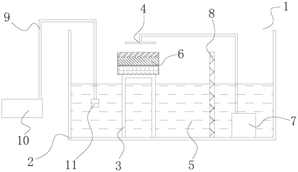 一种低成本连续养殖涡虫的方法与流程