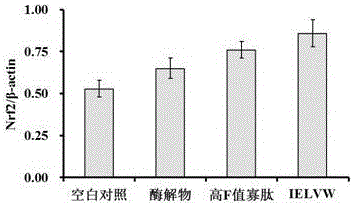 一种金枪鱼高F值寡肽中的Nrf2-ARE通路激活剂的用途的制造方法与工艺