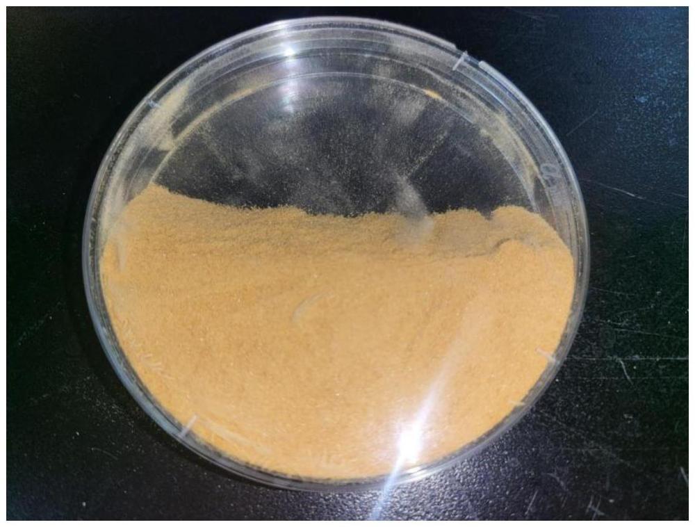 一种用于高比例果汁含量的果粉抗吸潮的食品添加剂及其应用的制作方法