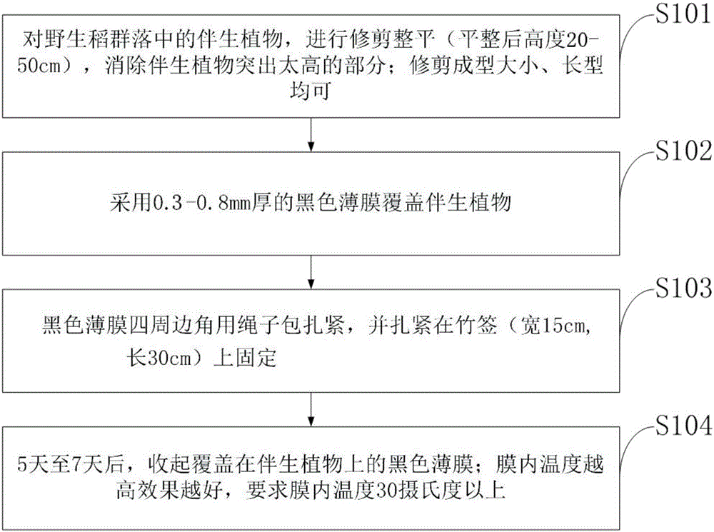 一种抑制野生稻的伴生植物生长优势的方法与制造工艺
